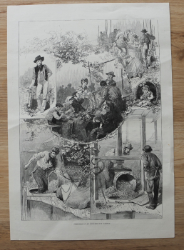 Holzstich England 1885 Skizzen englischer Hopfengarten